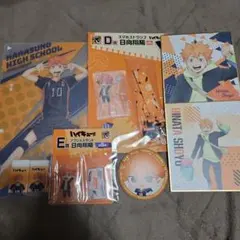 ハイキュー!!烏野高校　日向翔陽