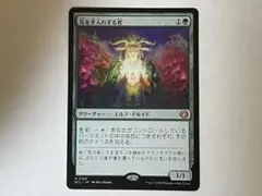 MTG 花を手入れする者/Bloom Tender 通常foil 日本語 ECL - メルカリ