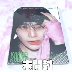 Straykids スキズ アイエン KARMA アコーディオン 新品未開封