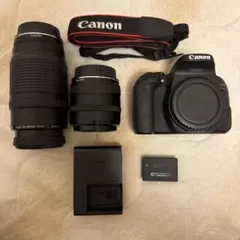 2026年最新】eos kiss x9i ダブルズームキットの人気アイテム - メルカリ