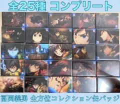 鬼滅の刃 冨岡義勇 全方位コレクション缶バッジ 全25種 コンプリート