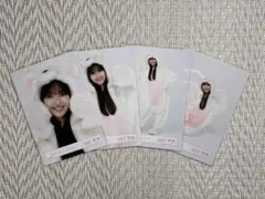 櫻坂46 生写真 山川宇衣 ドレス ルームウェア どうぶつ着ぐるみ コンプ 櫻坂46 生写真 山川宇衣 ドレス ルームウェア どうぶつ着ぐるみ コンプ