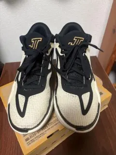 一度のみ使用】Jordan Tatum 1 23cm バスケットボールシューズ - メルカリ