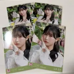 匿名配送】 ＝LOVE イコラブ 生写真 モラトリアム 山本杏奈 フルコンプ