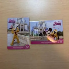 コレクションカード パルパルーザ ミニーのファンダーランド 2024