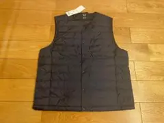 Item thumbnail for item 16292fd9-346a-4613-b0e7-c08893739016