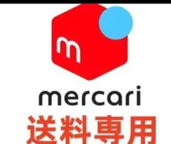 しーちゃん様送料専用