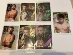 RIZINウエハースカード7枚セット 【サトシ&クレベル】