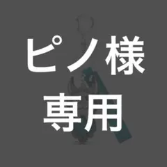 ピノ様専用ページ