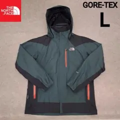 【大人気】 ノースフェイス マウンテンパーカー ゴアテックス メンズL