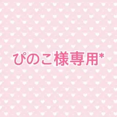 【ぴのこ様専用*】
