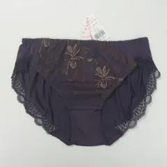 定価2,090円 Lサイズ AMST1451Hikini 008 トリンプ