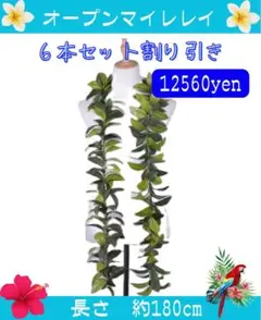 마일레이 6개 세트 오픈 (약 180cm)