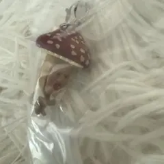 こびとづかん めじるしアクセサリー