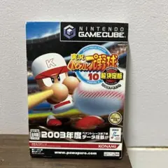 実況パワフルプロ野球10