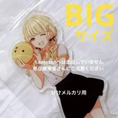 藤田ことね BIGアクリルスタンド 極楽湯 オンライン限定品 未開封 学
