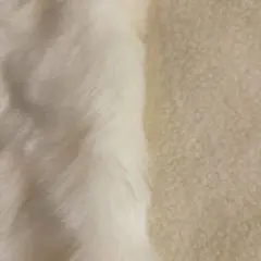 Item thumbnail for item 423bce77-3bc5-4a00-9738-2242c1f8b2cd