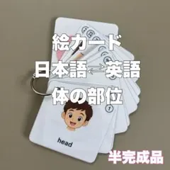 不足なし】家庭保育園 たのしい絵カード「1. 身体名称」知育