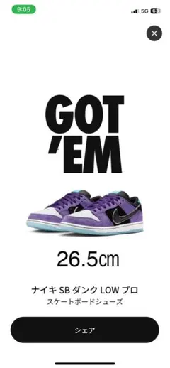 Hayley Wilson × Nike SB Dunk Low Pro