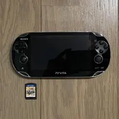 SONYソニー PS Vita 本体 PCH-1100 充電 SDカード付