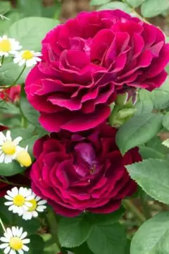 tokotoko様 リクエスト 3点 まとめ商品