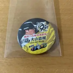 大山 3★イチオシ缶バッジ★阪神タイガース