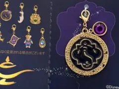 劇団四季　アラジン　シークレットチャーム