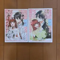三年後離婚するはずが、なぜか溺愛されています