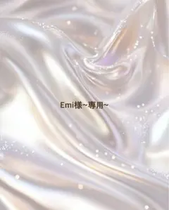 Emi様~専用~