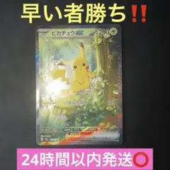 ポケモンカードゲーム〜 ピカチュウex 764/742 SAR仕様