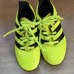 Item thumbnail for item acaf2982-8ecc-44b8-91dd-01d8e49bb898