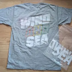 試着のみ　ウィンダンシー　tシャツのサムネイル