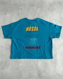 新品未使用】ネイタルデザイン HEMP WIDE TEE L ブルー - メルカリ