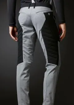 2026年最新】デサントpt zeroの人気アイテム - メルカリ