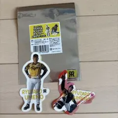 Item thumbnail for item 531560bb-a2e2-48a5-802e-bb4f8b4b5d33