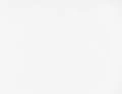 ちゅんこ*様専用