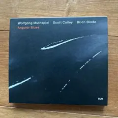 Angular Blues - Wolfgang Muthspiel