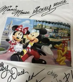 Item thumbnail for item 786a4443-0a28-433b-ac52-73a8f5d55e01