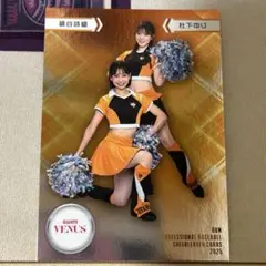 BBM2025 チアリーダー VENUS 鍋谷詩織 杜下ゆり　巨人