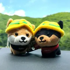 旅するマメしば　黒部ダム　限定　安全第一 BIG 癒しクッション　ぬいぐるみ 旅するマメしば 黒部ダム限定 安全+第一 まめた - メルカリ 旅