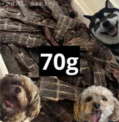 Item thumbnail for item 0693e001-c5a3-45ed-a533-9e0f833f7b0e