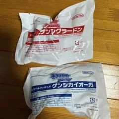 ポケモン ORAS オリジナルフィギュア ゲンシグラードン ゲンシカイオーガ