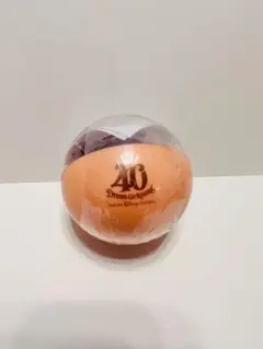 ディズニーランド 40周年 カプセルトイ エコバッグ