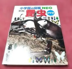 【美品】小学館の図鑑NEO 新版「昆虫」 ④★期間限定セール★大特価