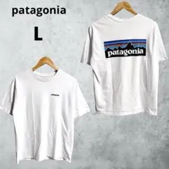 古着◎patagoniaパタゴニア バックプリントTシャツ 淡ブルーグレー系 L