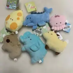 つぶらな瞳の恐竜園　動物園　マリンまとめ売り