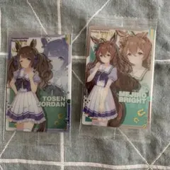 Item thumbnail for item 70b51648-ea97-4af7-9130-b785ae4e05e2