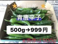 激辛青唐辛子　500g 　長野県産 信州 産地直送のサムネイル