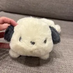 ポチャッコ　ぬいぐるみ　筆箱