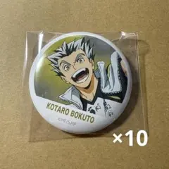 ハイキュー 横断幕 缶バッジ10点セット 木兎